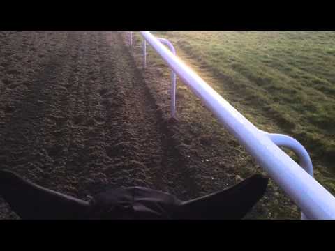 Noble Mission up the Warren Hill , Newmarket (UK)