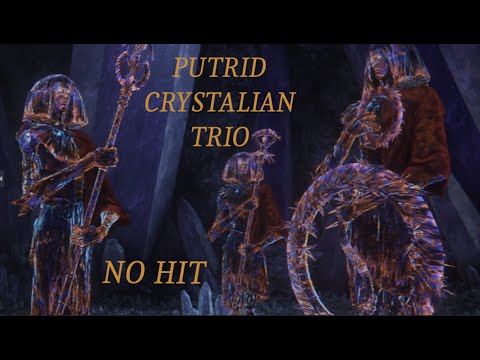 Elden Ring Putrid Crystalian Trio No Hit
