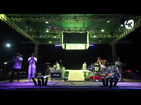100% Descarado video