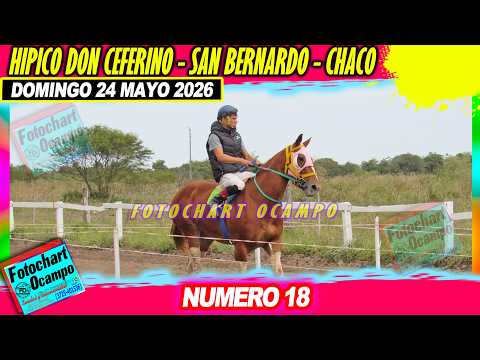 NUMERO 18 San Bernardo CH 21 05 2026