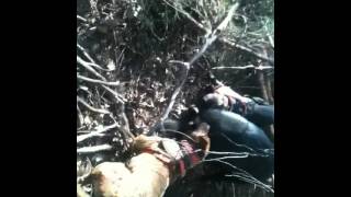 preview picture of video 'Pig Hunting 2012'