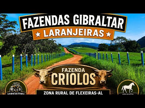 [ ATUALIZAÇÃO DO CANAL ][ TARDE DE QUARTA FEIRA ][ FAZENDAS DA ZONA RURAL DE FLEXEIRAS-AL ]