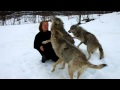 Tail wagging Reunion for Woman and Her Wolf Friends   Life With Dogs