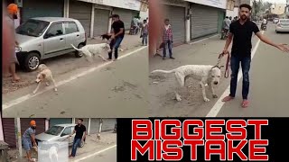 Bully Dog Grabbed a Street Dog | Indian/Pak Bully for 1st time Owners? video