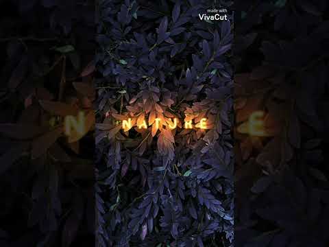 Paty Cantú, Juhn - #Natural