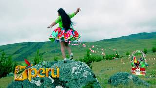 MANZANITA DE CHACCRAMPA PRIMICIA 2019