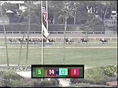 Heat Haze Matriarch Stakes Gr1 2003