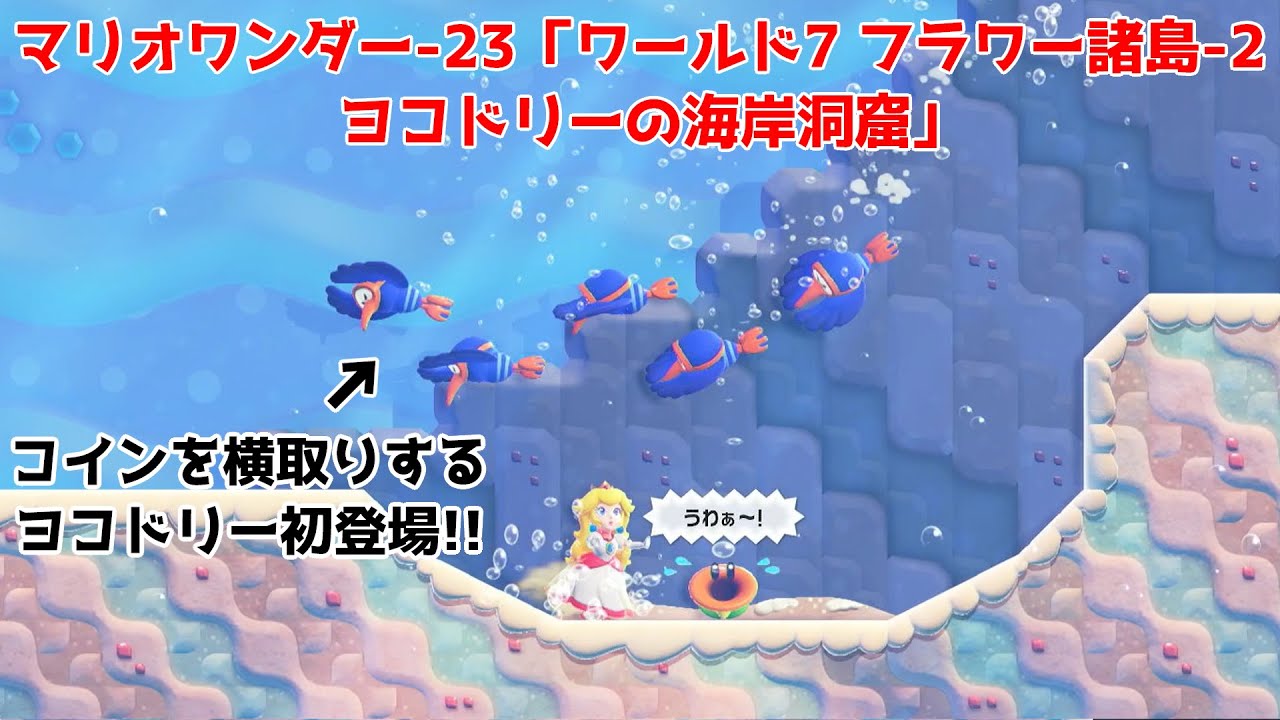 スーパーマリオブラザーズ ワンダー-23「ワールド7 フラワー諸島-2 ヨコドリーの海岸洞窟（何でも屋でパネル買いあり）」