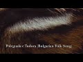 Polegnala e Tudora (Bulgarian Folk Song)  Arranged and Performed by TheMill