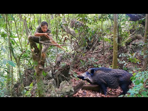 Search for traces, wild boars, set traps to catch them, survival alone