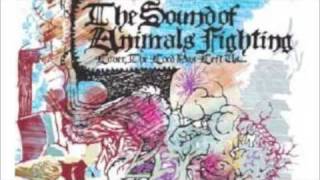 The Sound of Animals Fighting - Stockhausen, Es Ist Ihr Gehirn, Das Ich Suche