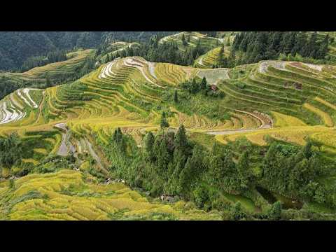 Live: Guizhou's dreamlike cascades Ep. 5 – The cloud-veiled terraces of Jiabang in SW China