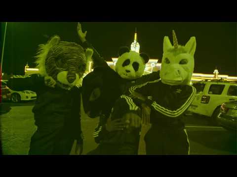 The New Respects -  Future