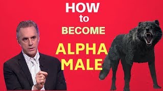 How to Be &#39;Alpha Male&#39; like Jordan Peterson?