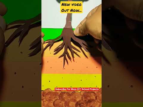 Layers Of Soil Model