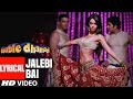 Lyrical Video Jalebi Bai Double Dhamaal Feat Mallika Sherawat