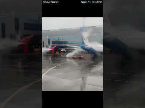 #shorts Прибытие в аэропорт Домодедово после 'ковра'