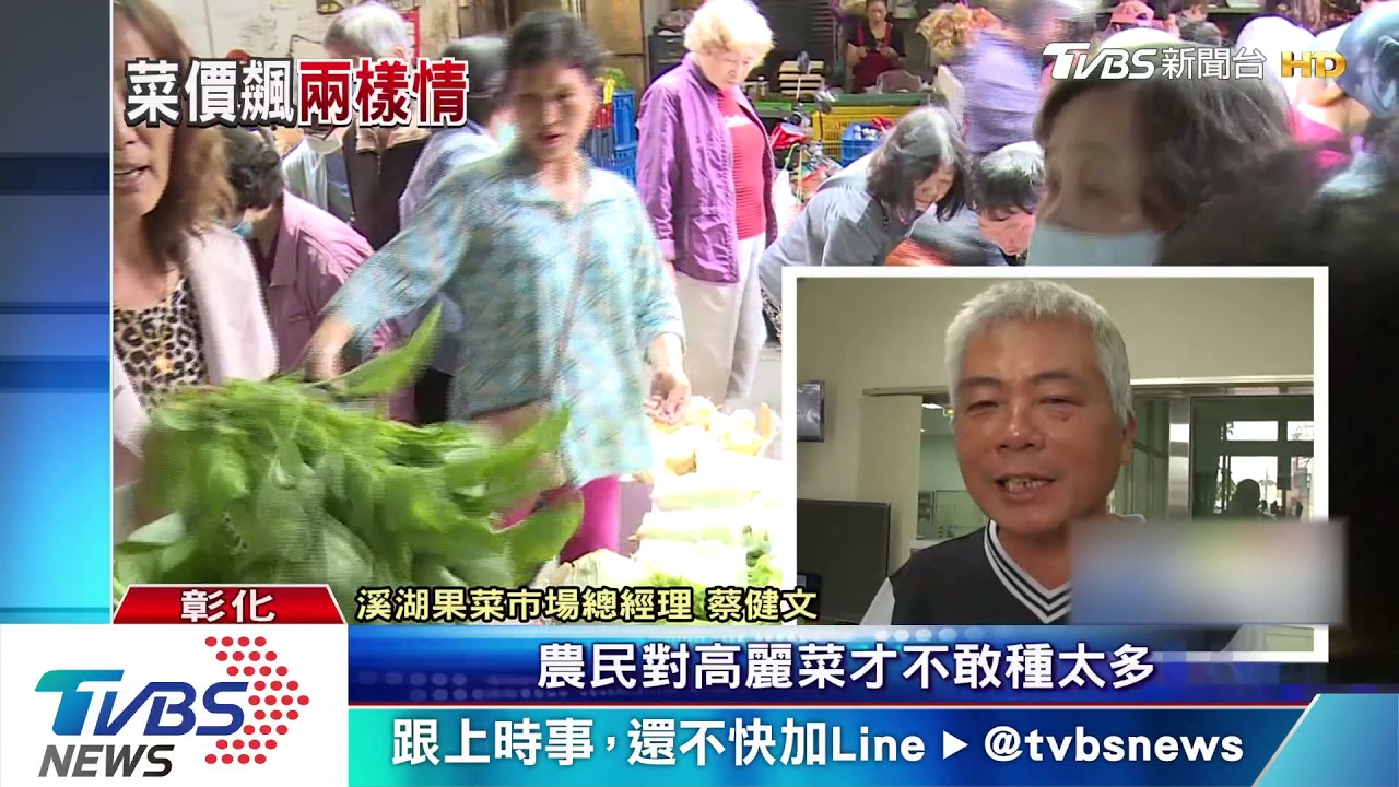 一顆價格抵3個便當　高麗菜飆漲至200元