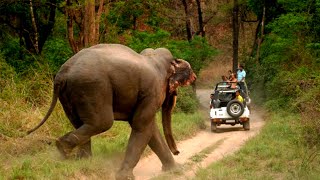 preview picture of video 'Elephant Attack| #Wildlifevideography |Nagarhole |#wildlifereserve'