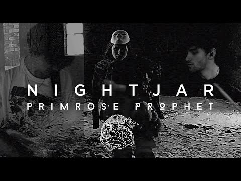 NIGHTJAR - PRIMROSE PROPHET (Official Music Video)