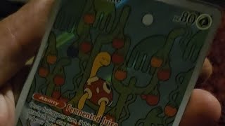 Let's Have Ourselves a Nice Poke-Lunch with Another Lunchbox Opening