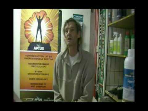 Haagse Sjonnie - Journaal week 47