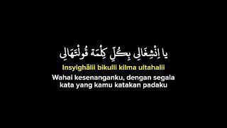 Download lagu Wabina maad x habbitak x ala bali (lirik arab, latin dan Terjemahan) mp3