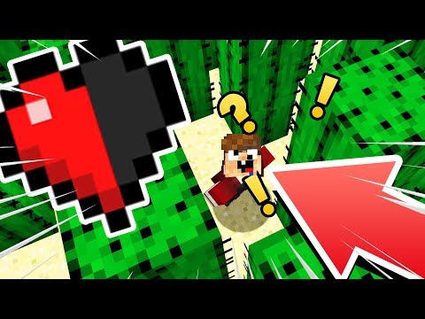 RIESCI A SOPRAVVIVERE CON MEZZO CUORE? Minecraft ITA