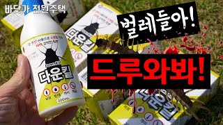 찾았습니다! 벌레들이 집 안에 절대 못 들어오게 하는 방법!!! 다운킬이면 끝납니다!