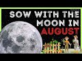 August Lunar Gardening Guide: Planting, Harvesting, and Soil Care Tips