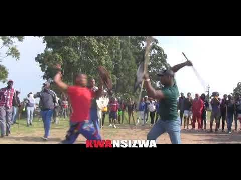 So you think you can fight  - Zulu Warrior ( Gulukudu )