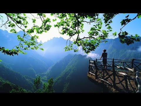 Amazing Nature & Grassland Flowers | The Beauty Of Nature in HD