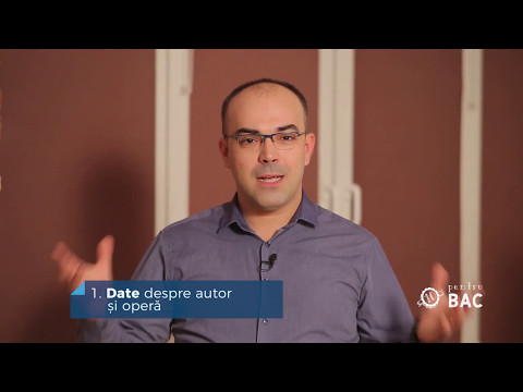 10. Riga Crypto şi lapona Enigel de Ion Barbu / prof. Gabriel Braic (PROMO)