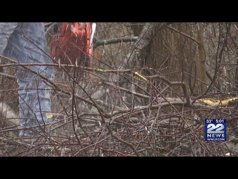 Thousands experience no power in Monson after tree falls on Brimfield Road
