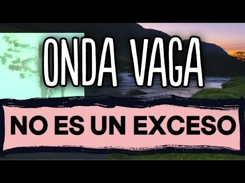 Onda Vaga – No Es Un Exceso | Lyrics Video