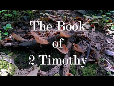 A complete reading of 2 Timothy from the New Living Translation