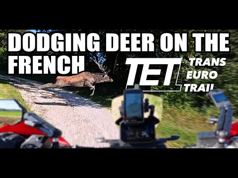 Trans Euro Trail FRANCE - Section 22 | Tuareg 660