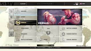 SFV　ちょっとだけ