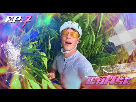 Roofless Cat and 5 more