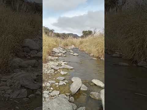 San Francisco del Monte de Oro, San Luis