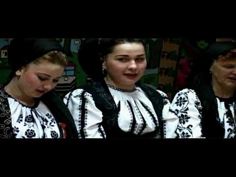 Ansamblul  -  Ritmuri Zarandene - Hartagani  -  Sezatoarea