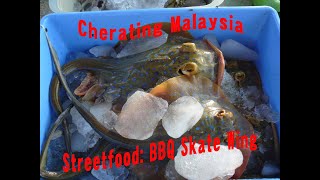 preview picture of video 'Malaysia pt. 6 of 11 Cherating streefood'