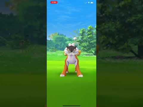 Pokémon Go - Level 5 Raid - Raikou (shiny)