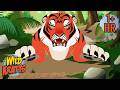 Extreme Tiger Encounters Wild Kratts Animal Survivors Scholastic Kids