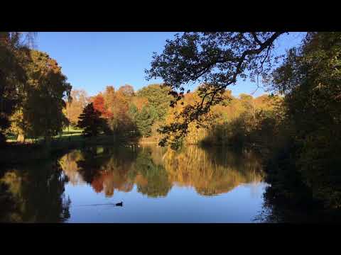 SugarSweet Video Productions video.