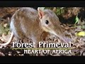 National Geographic World S Last Great Places Hidden Congo The Forest Primeval 1996