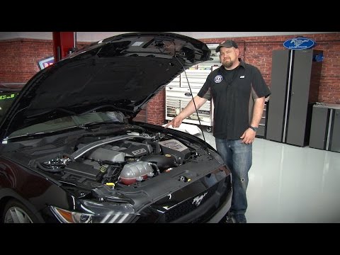 2015-2023 Mustang Maximum Motorsports Caster Camber Plates Installation