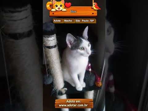 Vídeo de Max