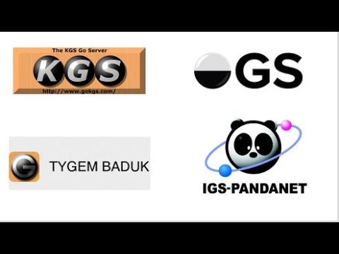 Pros and Cons of Different Go Servers