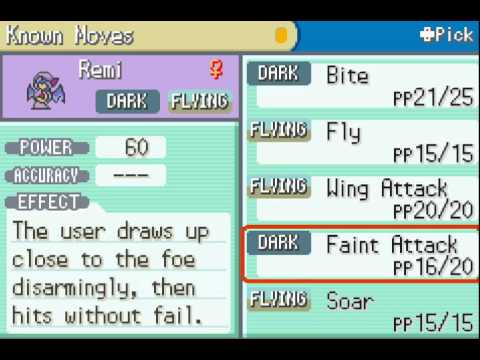 Touhoumon (FR) Part 55 - So many trainers